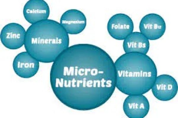 NutraceuticalsVitamins & Minerals